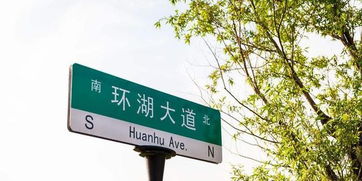 路牌傷人無人領責 法院推定找出禍首